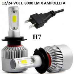 AMPOLL.  12/24V. H7...